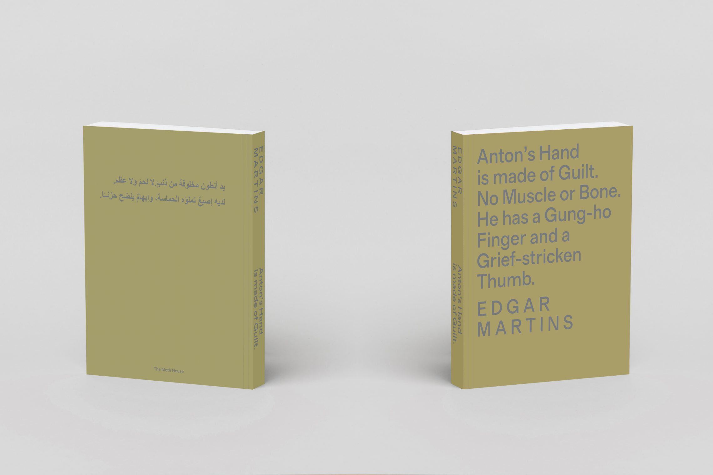 Anton’s Hand is Made of Guilt… is a finalist of Arles, 2025 Author Books Awards